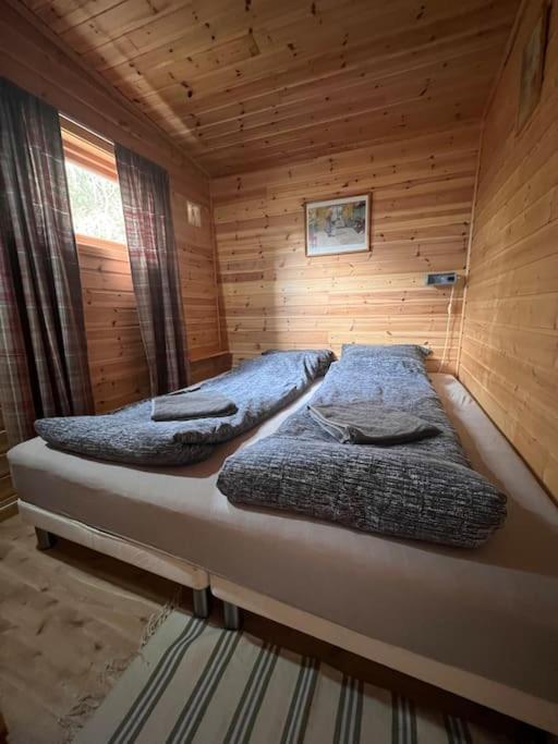 Cozy And Spacious Cabin Svensby Εξωτερικό φωτογραφία
